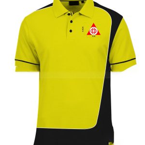 Áo Thun Đồng Phục ATT105