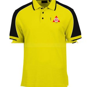 Áo Thun Đồng Phục ATT106