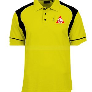 Áo Thun Đồng Phục ATT107