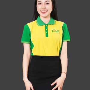 Áo thun phông đồng phục DSSK001